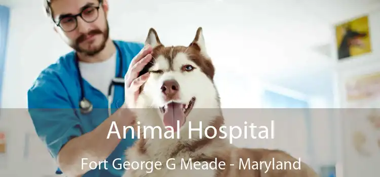 Animal Hospital Fort George G Meade - Maryland