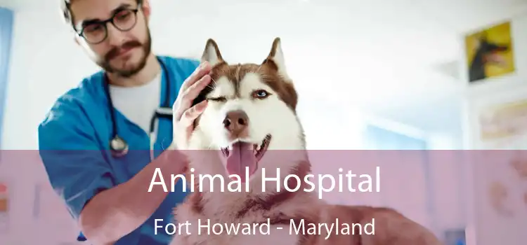 Animal Hospital Fort Howard - Maryland