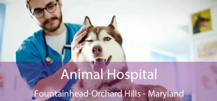 Animal Hospital Fountainhead-Orchard Hills - Maryland