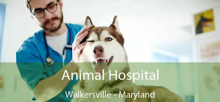 Animal Hospital Walkersville - Maryland