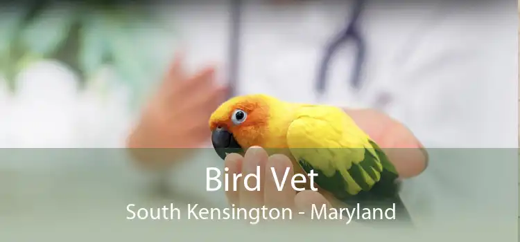 Bird Vet South Kensington - Maryland