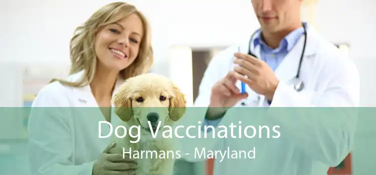 Dog Vaccinations Harmans - Maryland