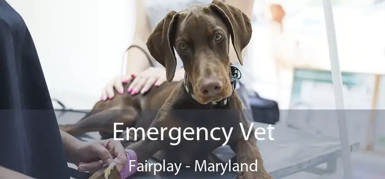 Emergency Vet Fairplay - Maryland