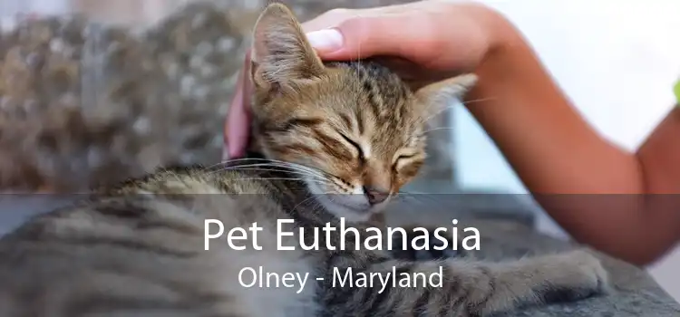 Pet Euthanasia Olney - Maryland