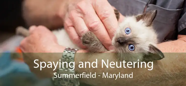 Spaying and Neutering Summerfield - Maryland